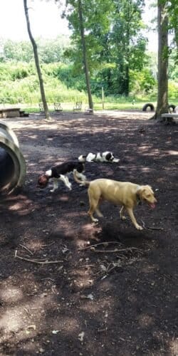 AC9h4nq332uHTWTvZ5VgQbR q5caFupIL22m8JdxVc8nFeykKaCOw081QyWtSfBLsl0fKSQkzcuiOoIHK5ruw47gn09EJ2mSmDRdoVWgdfW TIhNkQrV7vIg pRlpbgGLIlz kHwtSaiSAw1600 h1000 k no