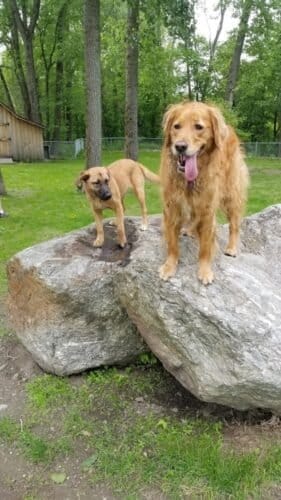 AC9h4nq33Mkcf SZUmzXoYob4IicdOLxuk8qtp3uA2HE9sHMoH9s1HVe5FlvMr0LBDNrgSUveOCH7PAThZjooUfhKO8Ivp0zmWbxDVsZHjKHm9Uuuzol4zets5iG6cMmDpMJMQx8 eYw1600 h1000 k no