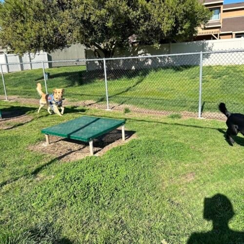 AC9h4nq34IRAEjubX6ekah2EDv3pvQVdirR705Gv1M Z8gSp9bfkTkvWMYhddbK894lLNO4j1v3sG2AV8WZaXUHskzegOb56R seTGSBlplEuC3hPV1pmFTqaYmHvswd6SaPk7 W0CI6w1600 h1000 k no