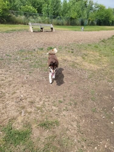 AC9h4nq36wCi6GkiIXIB QPMfLtxneW3CCPQcU NeIAgbwL0ZZ U2vSww2VGtj4geKEt1TTv55lnBGuwjdYxuxERR9eBFw59pmUlIzOUOAw1600 h1000 k no