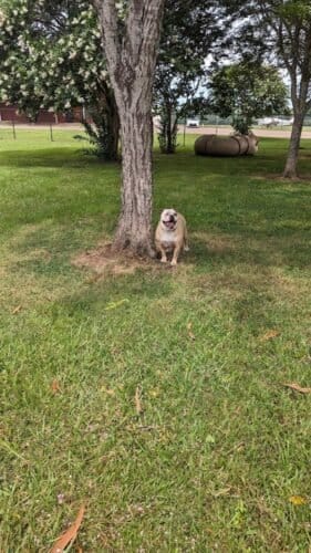 AC9h4nq3PSVZIdsOnEDIiTyNcwEPD0G8AI77aUtN3UuLlyNpXXHELinxJBhOR6zHni nYM1dLB1R941NP8Vx1Tqp3NC7jKE1m0sJEdsBNA3sMDdnC8rJ6hdRNkTit qREAKTFUKo5Q7Uw1600 h1000 k no