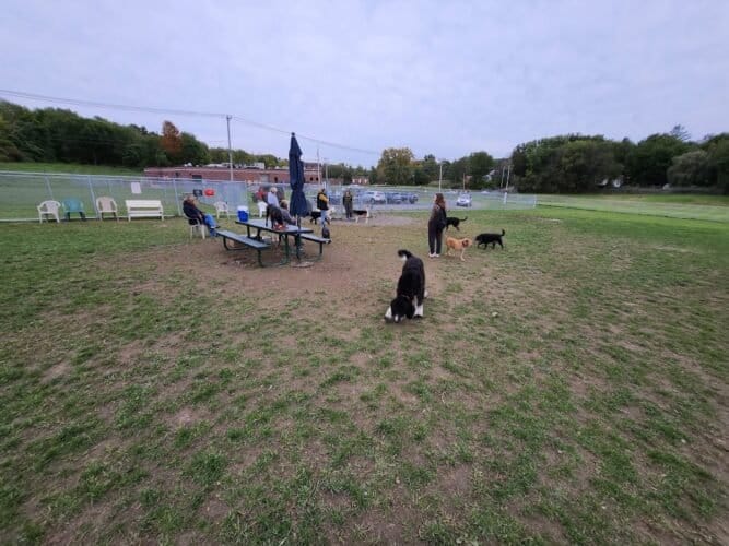 AC9h4nq3Raug2EXsDecP0fuqSYu FM7FXMYCKMW6ELdGYyuOj u8g6uN5nGH LykmmB yQKld7GivY0YxNRBrM9k76mtz9q0v kEZwSEYwgcdQQo3 lmLrdZammWkgmW9ed3h 5BQ4kEw1600 h1000 k no