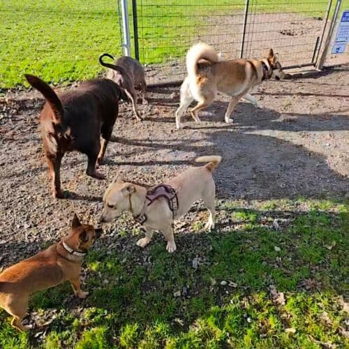 AC9h4nq3iNVRSIMbS0sQqxyeA Uyq4GeuJb6fEst6qB p9JZ1TNEvKwyqayheL9OGMot9prPB8zvOVo0Ub2rINVJ6xp dUhAEoNf3LmGZ 3mYg0MSwFTJy sKyiGGR7yfaWCXtHV8XI0w1600 h1000 k no