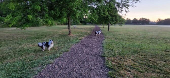 AC9h4nq3rioaVhGESPPKEvRf jjPeiWK6xfwtzN7shAyQGBbGhSykEBWZNiVC8cHXGKhX LtmhoW7lY3SfDrgjfPgrjIfSp3TW5XHHlXT8cKk5VigZO f2Gkg6s 4fjo3ERVwoqMM0oZw1600 h1000 k no