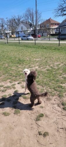 AC9h4nq44QQWZbfcoLI6kjyldiEX2OAf9uvvVzE9EzRhh4pWVCimPhDk4DPzBaG 56seXh1WnOVj ZoBmo23CEqTd7HP3 zg7D4cWQuGXkrB9V0P5RBpl8ib9DcQPux5MGsjJGtlGamaw1600 h1000 k no