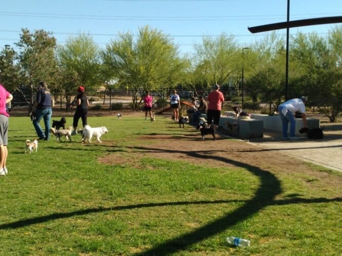 AC9h4nq4HuBzJiHfNMWiXpQ2c7VTqBnFWjHokfNAkNckAVk BaZLVzDSKYX Tfyn11YyegQwDxhANfFozW P6cmJFtxZj4oL2t5u9XqRlEncOtvwtfUhRG8vOEN8J G3fOR0AiqLWU4w1600 h1000 k no