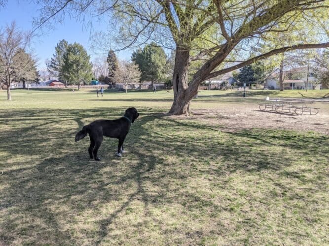 AC9h4nq4OcMl96MiiM7w6bhxT3ptZyB3iPxf1hwcu6yaat wonKk3jQe5xu3i1 zasa MRVs4WiXAK1WidrnkpGks3l8fmQvuHSihbcVgFnFtiMcSXLn35HrCwAtQV2SQKSzkALkw Aw1600 h1000 k no