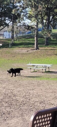 AC9h4nq4QEGE oZ0UM834 im9 RumBm f3RXfNw6A3NeK8qrz00Vvj5lR4n 2OTJ8bjR3mcphFmI0vyNhPaXh5npIOizZC bS2H7Ex73TeVFL998Qs4WLgowV2tRVNLn9pqgE85n160VnAw1600 h1000 k no