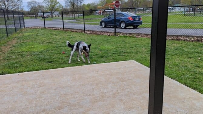 AC9h4nq4RyNDNRjbepz5xB3e1UklCGrWx5KMgEQ0rxd9Tb0t9eU4ZoHEzGLYkD40yNbs qy7Vq2kjbfQe3si1B3gl85wzCALFCYBolF8jfoUr QGUDGWDvgICQO9ofYfsbXHCPEJZgAw1600 h1000 k no