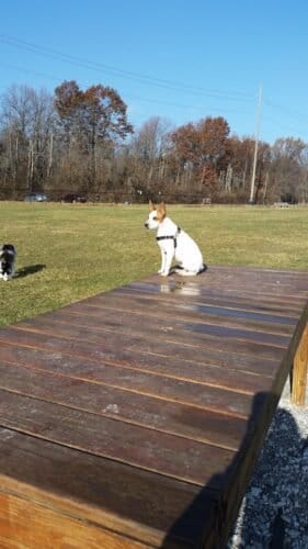 AC9h4nq4VcrIoQCgDZD4W2 kXW9vzHOHkInHyA0i4dqO6dDqnyqvyqxJZC vh69hz6FvE2m6gwX6R7dKCdWxmY2fHR1cI17WxyqjOe84LO4e5IfUAgeHN9Daf6xpc0ftnepg0OCWFxY8w1600 h1000 k no