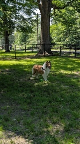 AC9h4nq4iMs0kY8GwsAQz xPJpRZqpUP km0cXlLWSTnmqkZpOAxhf0a5P6Uwz5nOccjukowDVoApxjVTDQ2FXNRdBH8 Bb9I9UFiTigQw0XNI2AuByz3H9HeMkBBk3 exPnS GWtZZTw9BtdzlGw1600 h1000 k no