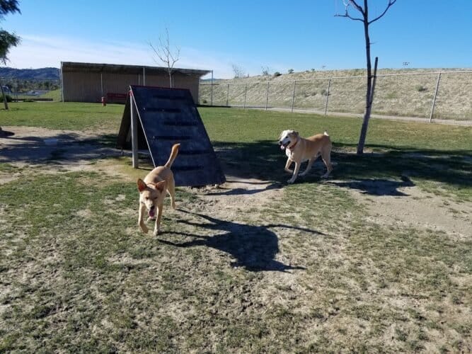 AC9h4nq4q9dkNymOU3QjBh46i1RuonWp sxIYckTYcAl197ykXDbS lQwm4mXo lHexv7MYTlM05HHY9U7WlcA 1uP6vxgQ58Xbd197jqGmWylZtlx8JzWeytqJIdZmwCRrr1POEyK4QcAw1600 h1000 k no