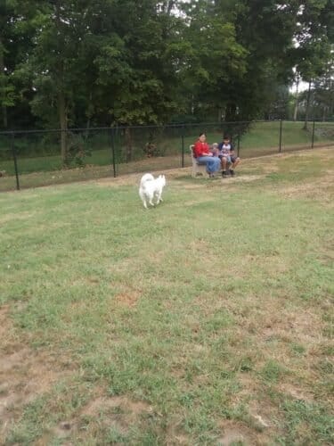 AC9h4nq4vs7bbxXbxK0BXAAzkDf P iEBhfOQNB235IXeP15169q shx5 o01Qfl7mmmS3NltC0AywwT5xDlRCkZxPPYOGnB3WHWvQ9G 8N0AuSUrqoi4xqjohnIq6rbac6aZNdgfEOMw1600 h1000 k no