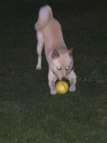 AC9h4nq4ytHFA98aS2xEHjh85uQlRCvzu1RXgdxbWUaqydVulKmxpiq1id0OGX tsQ7XwowBgV3lySjIYPZ8044X88 oWWSFZN THbXo 7xVuW8dNmuQeyldx8MvoChePMMPY9iM8GMw1600 h1000 k no