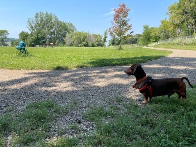 AC9h4nq568uY1XqPSpbQy 8H2jBPyp8 oU1Yont y1jP5AKHtxuKsz0L8mb O4FMuYCxoxPFWF9OhD3yV4caNRtNyWKzqBZU6GkdUyHQFtSTfEjNKmp5e9TwhBwd4dx5jHg20NuWvpmsw1600 h1000 k no