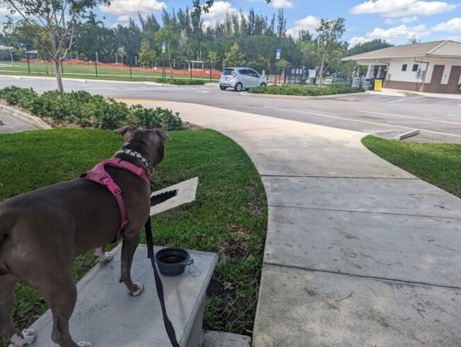 AC9h4nq5Wln90QKI9n3tPhluckrNJ1hnY0nPrY1uShLt5gVuvnA7iHp4t zawRZyH2SjRqwbvgQ1jEtgQGICQ96sOiTmHlpFwEou dpmwz49Csy7TBS1xeKcv hEes8gElTEoYNmSC9hRAw1600 h1000 k no