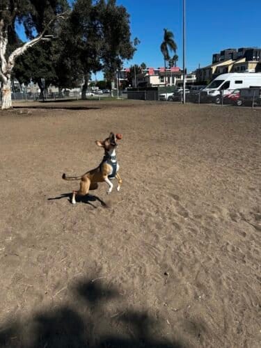 AC9h4nq5Y2R9VsmSR8DTEHUNYB71v747cr1Y 45VMmG4k6ieIMr37UW6FMk3L0qHtK6WARqLX RtKn2j x0bXpgXMALzgD riLb3kVOMFKYjFaPV pth9DKQgmcnXbk9X25p4X3yxLmSJAw1600 h1000 k no