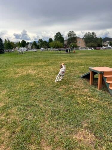 AC9h4nq5aH9U3e1g13La3VOaF 9f4drBZTE8JUIPPbKmeCHBFIVyiyr9NfbNWFxDtAANCeFizffJsA8wMan9poI80ChL hm3Rir4NaJhyMog1h1gAob913jX8MnOJgZAaAJmg1T8Eq4w1600 h1000 k no