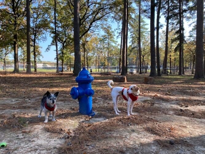 AC9h4nq5bYVa5DMPdTcN5 nTwvdyXgM5Tc rptIJNOlWa112ZozvmsJXfEaIQzMYUCQuK2z0xKkgyIPngPli7znBSTy2r1QqSKrCN78XdKf9YucP6k2ZcUmAbUeTPLQvVrFkzK I771Qw1600 h1000 k no