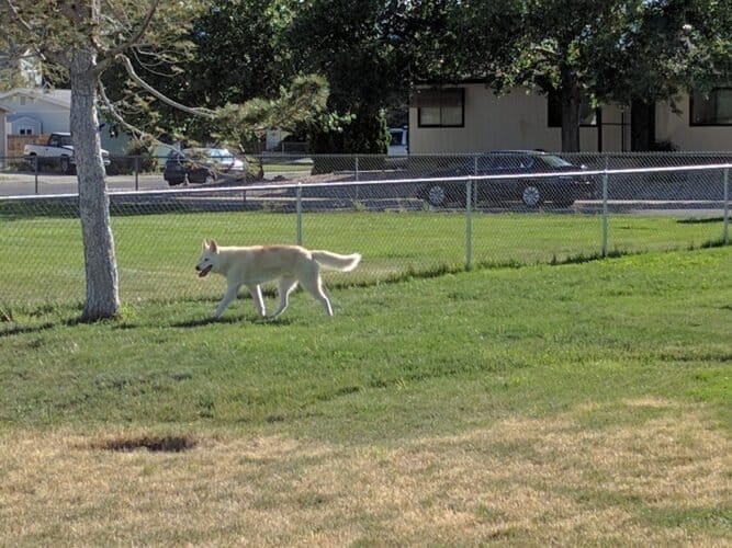 AC9h4nq5pduSmwgArcASm52 wVTf 2HVTtVcIgHWp3DX4MfZwKUcat1nGmlKq LCsDqNIch9Ar5O9bVUg8J5PqOYFm9EB4TVk3f3CH5mCCIFiDlRb17Q6HaIPYglkN57yI wWtabJw1ymgw1600 h1000 k no