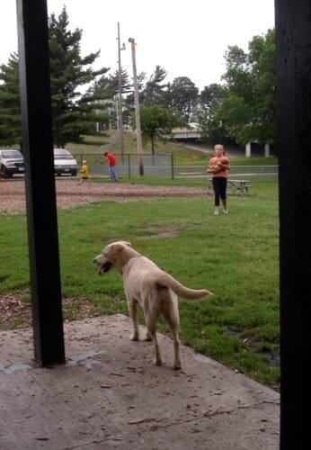 AC9h4nq5tTutRILTCKbMXtXmhwMlmXNk7CU1k e3NfabQt889DJpvckhTp0vxzHxxq09ElnTyu5eaVlScQ1wLLwv7ENgyWvqnocSG9k6qkwZ8yLfDMGckEJ9hFtRlniJXGaVdNqssTc8w1600 h1000 k no