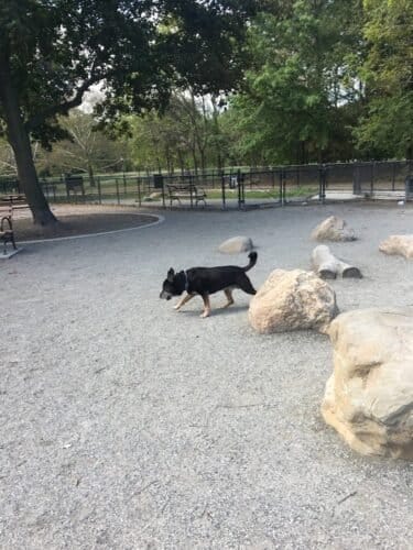 AC9h4nq67dAUMkQNH2lJRiqoZiTJcEgCUld2c8ozXEoDE9Y4s6k6eRtWsHOOPMhd Zpsseo3Yt7PeNU tCZYObkIQ7HB1kAQam2c4D4v91ynaql9RNP2QPYD pv3zOJqLXRy65W6VhTCogw1600 h1000 k no