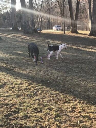 AC9h4nq68rB5YirsYOO0aZSr OLO UMAwNQoqxlhnEorG 8y0wPItzuHKwAUl0ErI2zqxr0kHkVg 1t0kuSsqS7 IYhn294wWrHDOZIYhkEpqVndwooOaM7U WMUUp2pCG 0tZoXVg2Cw1600 h1000 k no