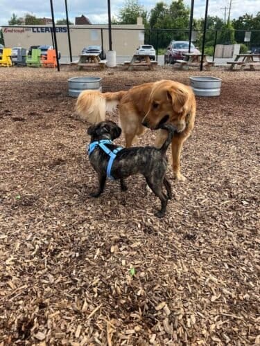 AC9h4nq6GYgLeDwqLWrvoOkRZH8Wa0gDnOesIchopzuWzlGvgjS6rxhrXXDadwj3 4hDB3dKm2qyiA0Xn07g0xUsJuuVhrnKtOMSWvlXl5l vW AHdsb3BUc80RY1k1nIKM7sb HUukyeAw1600 h1000 k no