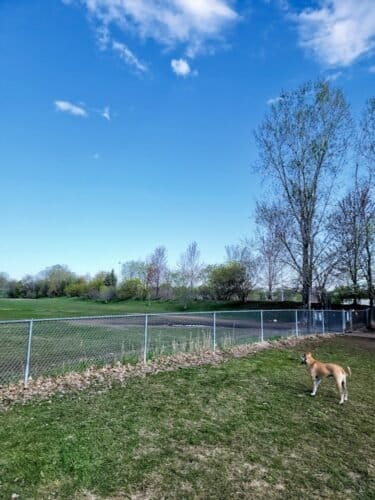 AC9h4nq6KRUJCg5rzZVuXz5MvNJQuTkeKmrmm3PvXomtp4mlt4njjVlT4fIpcCOhySgH137GGNRhBdu9lQZ5khbB2HxMwl9mpI Bi6kQyRHrUeKN0EY4YtSLw 8XHhKe1XcZ u4Cmgglw1600 h1000 k no