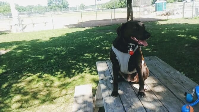 AC9h4nq6SKef1wtUnFTRdWZ4MHNTM vIPJ4B8aDs wbuh3rlEVq1cL i43XensGvjddZcgOJR WwFiAVr9WM9WBNyFCbEu HJJMkKKidtdZF12Tei8CxZV14xkILX7vBw0ymBeM352KXw1600 h1000 k no