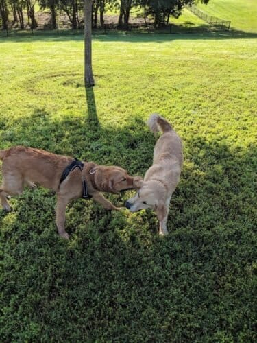 AC9h4nq6U5g6lIyiMOEuPvDQwa2hcrME 0VrfIuLOMtdvUwXwWQioqmbpilFclWCBq6KjUnP5vCC9g9gtt2LoK0V n igUp3 H0aGtcmaww1600 h1000 k no