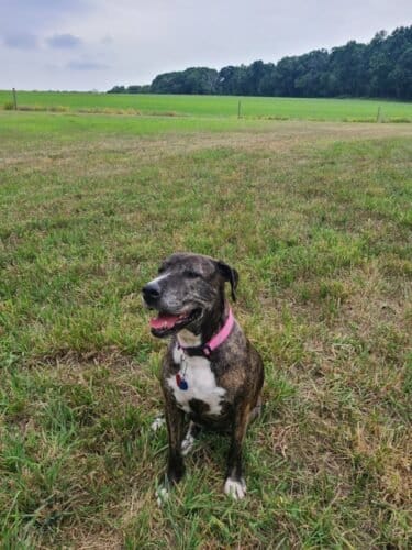 AC9h4nq6y WoxOGdsHxtt56SNs6Rrl37yeqIMP Jf M66PfyhpnvIM1pQa9zqckN ZYdj333y0Ed2ZXfprTD4fWEy 4clbSMLV0CtR0kVJsw1600 h1000 k no