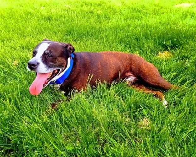 AC9h4nq79pnHFrStEI14wVRa Zwhavo96 sGyBIKAfev5lBYuYbYX3oOzS3iuWXZMmm0TqoJ 0ibTszMfwyeWXe0BFXX6z6xSWDuc7C9npbBsKiZgD0Ts1CAQTtx8NiME0xSsD7S y0w1600 h1000 k no