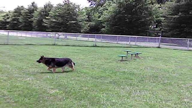 AC9h4nq7VEiCvi xCPjCSZvn4ndv4vGG6T8XlvllGJXb8owoN8L Cyb8Q CpGRZHI7RTQyI 7YlffKjtddSZNu74MF PM oaj BUKHwvkHEw1600 h1000 k no