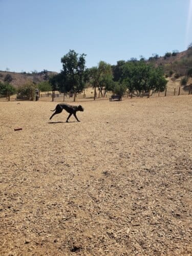 AC9h4nq7hWSxCIjCh8PrJtWeFXkUI1jrlDPqs71MScOrc8nLyO ohv9F20XvprfABZUaf0O3NE9VaPE87mNdIO2 KWrHtWYXXVdrtjaT1CT9mS9R3NO7uIa0vrhtYX5DsugJeDcZ7vx0w1600 h1000 k no