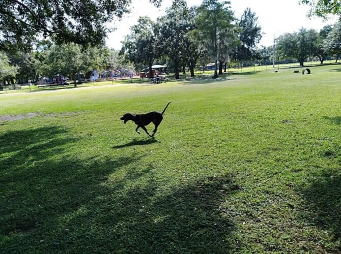 AC9h4nq7rTD0e31OFG wb3vBMlWKegCnBz7gw2yx7J0HbkZEtx986B8JaXcQ8VfrlRGNRCTom372hoNMrt2QMKMq0MDlPBOkCCGHy c5XCGwp19M2H aqjzKAgfiy7 PHXFi9iBA2Wa9Agw1600 h1000 k no