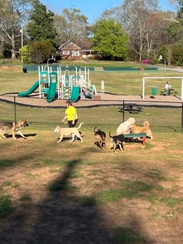 AC9h4nq7u8 CnKI A MfvUFFlKsVjKUo6rZYVPbpmalK iWwS nzQ1byvZSIcgaZKqyGeMCyQsQySwcyTosXm4yu2UkeBQ41B3BZ7fGMcgw1600 h1000 k no