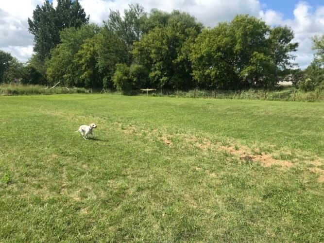 AC9h4nq80LMfEDWT nJprxL 65h fPFGuxU0r8qozo4J25tdBnXGh66dcm Q1DRFEa6Nn9Y63NfQuVwxtuAwadI1WZpv0FX0g05B8mQSZOggvqdfehe vQFrXtJmoQGYEWp9tpWu5hoPw1600 h1000 k no