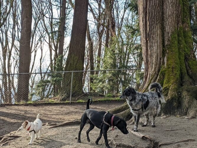 AC9h4nq85 n0wCPXe62qtaWk FfbZDxduSk5G4TAOl4wSrlr qa 7CJ4oBjJufBQnnsIpSGkkAaNjPyJysRN5KY5c8DmWPQ Z7Ac2e3 pELk93Mkj7eOcJg8TZtiy0KIGYJrqOmJPiiMAww1600 h1000 k no