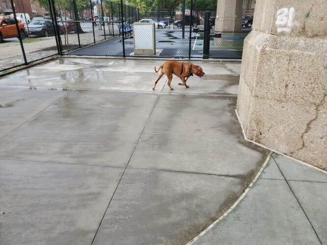 AC9h4nq8EZ7rsrEGAjhmp7YiKKlytYcO0dYTdWkxysJQm9spSTwFSM z O6SXJgk 6JTbBCDbO5uMZsPH3d7EYAtc1vWmyLl84rPaQsUl9gQusyB0 DvU 9jHk18sIXlWSXSLOVuJ0kw1600 h1000 k no