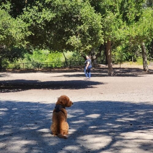 AC9h4nq8HovOM3scl 6o7Ip2h6RRcc8cSet5cNfOT8B0LH2mlz06fCC2bU79xWmMIeLkwI2nsTUbbm7xe3brbOVkCyFSG7lhBtkedO36z9fyH7 UL5gSnTE jNFvGjOQ88sj1xiiNi61w1600 h1000 k no