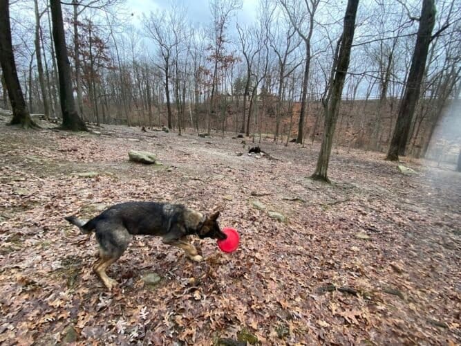 AC9h4nq8n68JadAijtwtjzgzFfxXCqdIrFHBuBbbUFv36E8M8PF6fIp taFWBouw1orsEQ sYnw5oipNf9QyILxbcJPVqTD 18 oAxcgT3RvqJvfci6A4Ts8GMqjB2XFgG0FVxA6m8rc Qw1600 h1000 k no