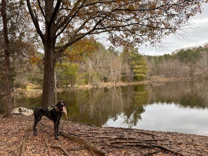 AC9h4nq9AQypVvPfvFvyaN H2372slzKmiekWWT7vNuwWqxQalu8bjEVCG0ALyaqiKsxENSYbxxgJ72FKVPAx62KXnQRYmEBnjUa68LIuxnQTWTJ8zJxWx amLLgLArGYQeEhYhyjPwm7gw1600 h1000 k no