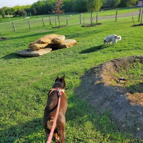 AC9h4nq9ETp94MyRhY15WBatHfz20VH43TRncLCh2MafC2zK OnrpcXpSs6pKoS1p53b2T Ok065zxKJXsVhqsggcu8y hnUG16I7Z 3P6TAfb3Z bp6vz4HPNPocg5WvIRep1KfhQi8w1600 h1000 k no