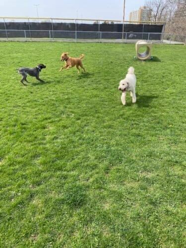 AC9h4nq9H79EYTFl4tBGWwgohWqs8R75BJWEtAyiGKSLodb29lpyRz t6VDpCBmXAixktVP0g lUdVrL TbHh95w 6FtN3hhEfM JBHpLrrUrIEPv3EQHUGvezCXAkY5P9plXlU5icklw1600 h1000 k no