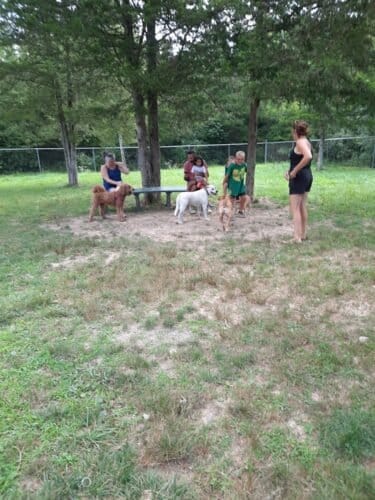 AC9h4nq9JxbkYRLbHhS2EdGzsZWIVhuTA6m6UA9GcV7SA398zZ8Fugo2qsBOX 9tADduCPGRHI zCOvzXaBdSCy9nHjV53VPyRrBjYnePoIcsS0aGdLqrtnk yvPRIUmfcAeiIC 110DQw1600 h1000 k no