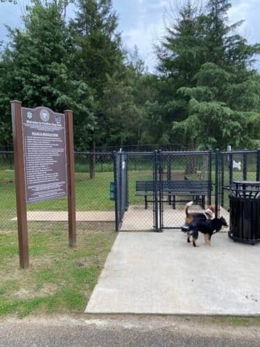 AC9h4nq9pEfGZb0l3Z61fB9RtrcQaNRbGU28uKeRIWJIeNvpupRMxRmM4A785KZlKAmDD iu5 TfvcO6wtVUm18HDjoEo9GELxq5RseP0gw1600 h1000 k no