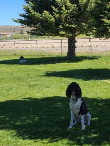 AC9h4nq9s4xaYyHFRH 33Hgd8hngUJOytZNCEFp 6uWjzMUZth6YDJu312aUdlnrdef g64FZh68wK4Ot0UBpJfS2Yl DmSGlI8s1Y wfLhF9QJ0BZ5EheTJntoZBWIUlVok2N39dW9 aQw1600 h1000 k no