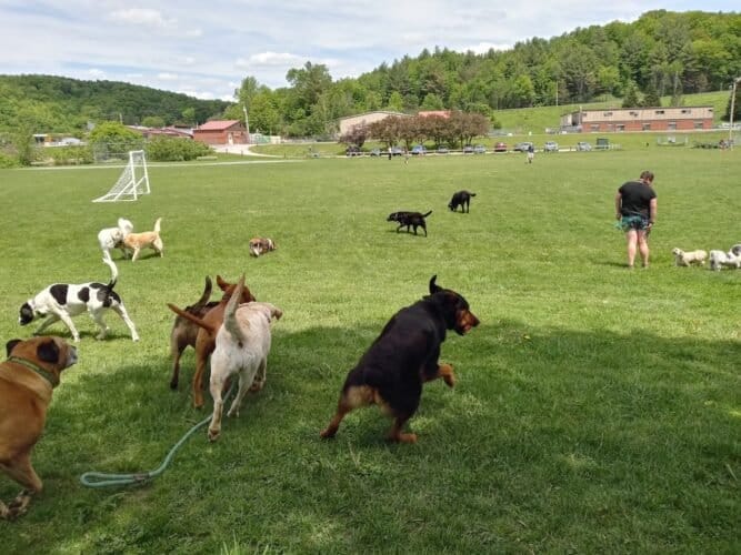 AC9h4nqA1TyCpciFCVat2j87AXuXFW2j9H59YCuXpuLxxFYPyb0eScnRWMNsS1aRKD5nnYcyQAc7Ejr 0bpWlv4BfSTxaV43 vs6JWdWnTx5dmXiiQxI xq0U QDh9K2I8fjtn9vAB68w1600 h1000 k no