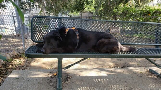 AC9h4nqA4O6RiXhou7HFOFs3BJMonX3fR6j815hsFGqjGsM2fEUbPEWQPxWQpasjCYKFUioBvc6mShI dXLpzUsaoeIqY qMBGlNanLPZehbFCtZcI74scJPOFXU deoHyy8HnGTNzoDw1600 h1000 k no